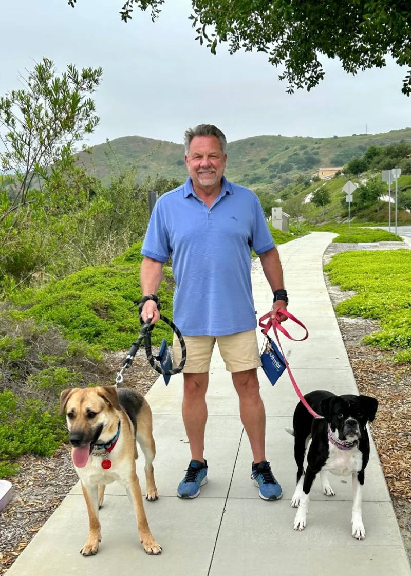 A man is walking two dogs on leashes.